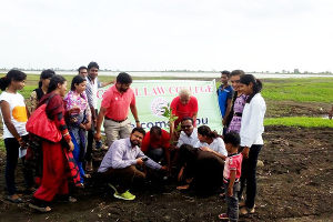 Plantation-Global-Law-College-Seoni-MP-Med-1